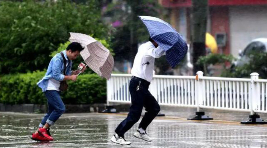 9號臺風“馬鞍”生成！金環電器提醒大家要注意的事項