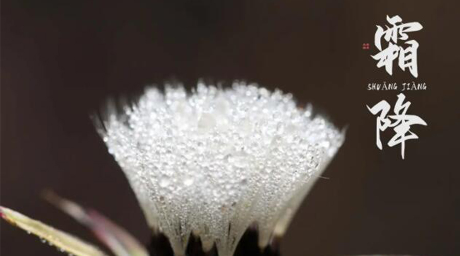 霜降時節！金環電器提醒大家要注意的事項