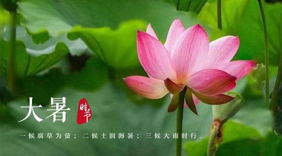 大暑時(shí)節(jié)！金環(huán)電器提醒大家要注意的事項(xiàng)