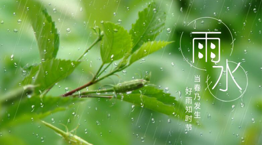 雨水時(shí)節(jié)！金環(huán)電器提醒大家要注意的事項(xiàng)