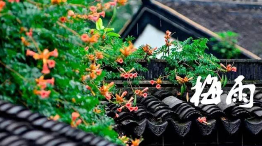 什么是梅雨？梅雨如何形成？  金環電器告訴你答案